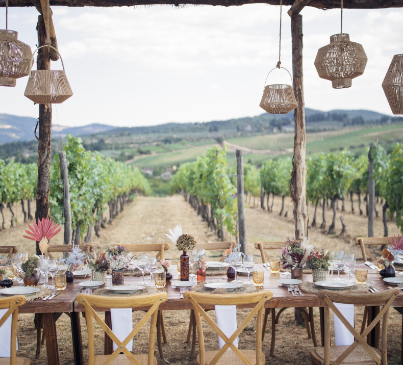 Fattoria Viticcio - Soggiorno & Degustazione Toscana Fattoria Viticcio