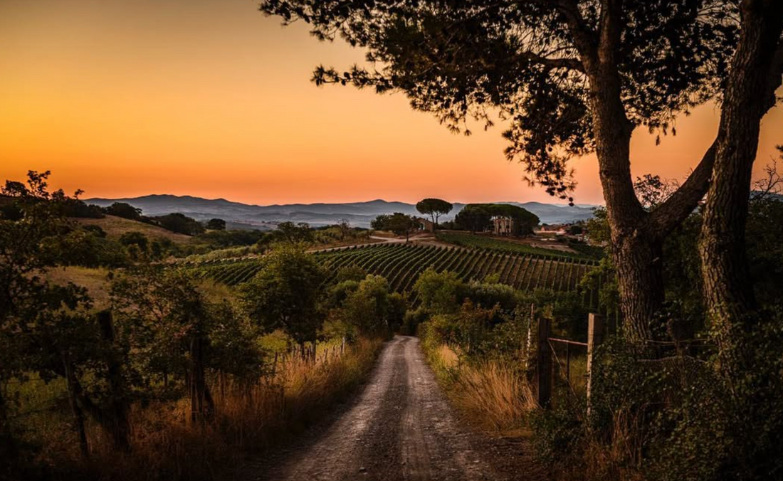 Il Quinto - Quinto Tasting Toscana Il Quinto