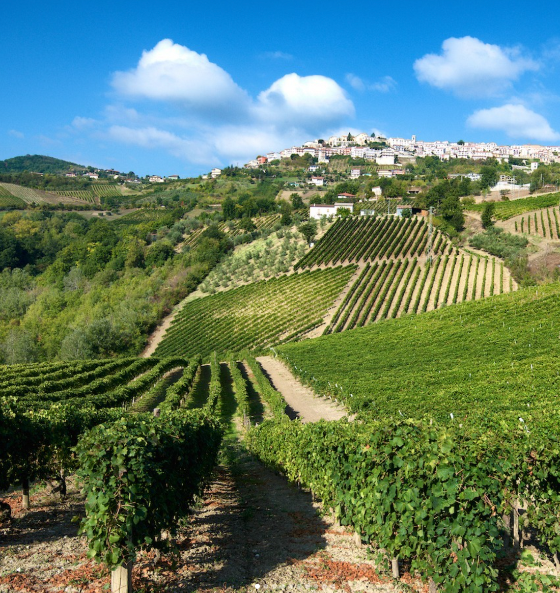 I Cacciagalli - Stay &amp; Tasting