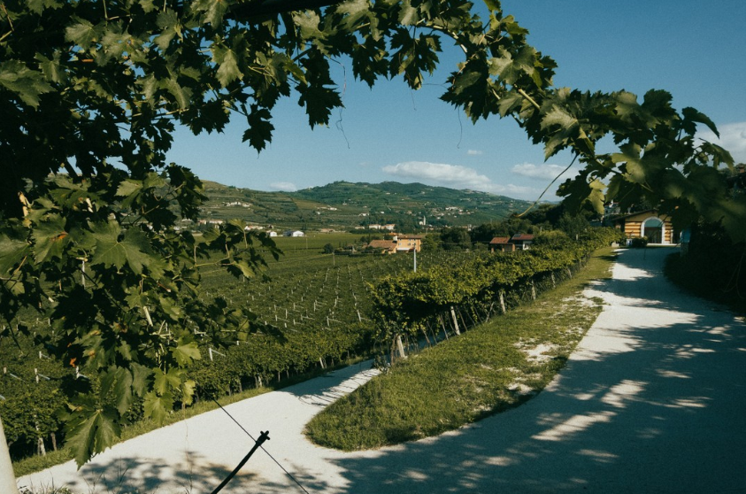Falezze - Soggiorno & Degustazione Veneto Falezze