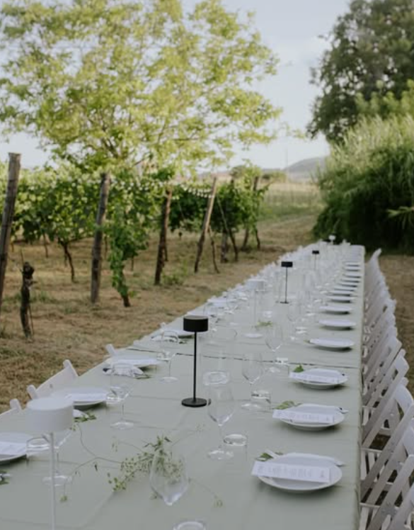 Pietro17 - Degustazione Classica Marche Vicari Vini