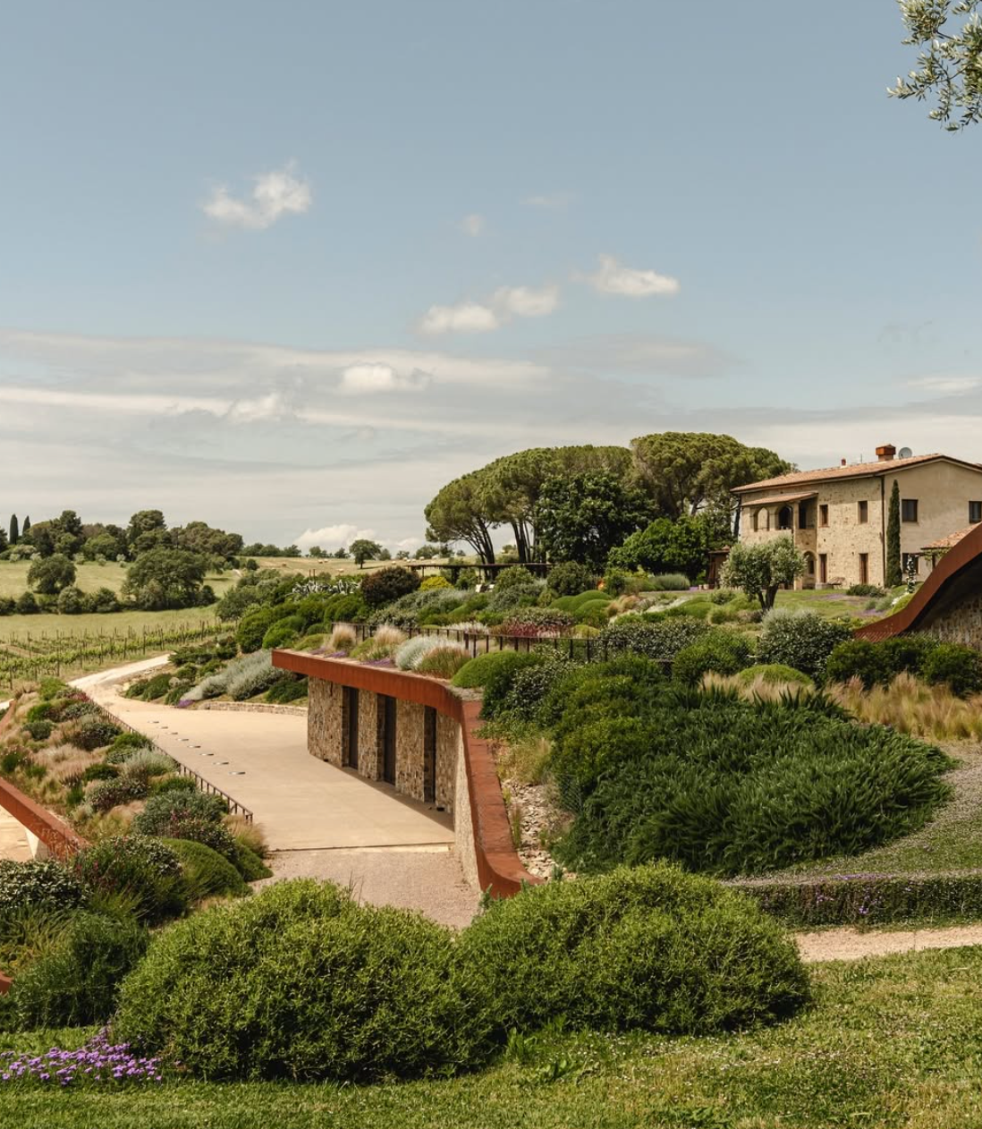 Il Quinto - Quinto Tasting Toscana Il Quinto