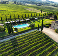 Viticcio Farm - Tasting Reserve