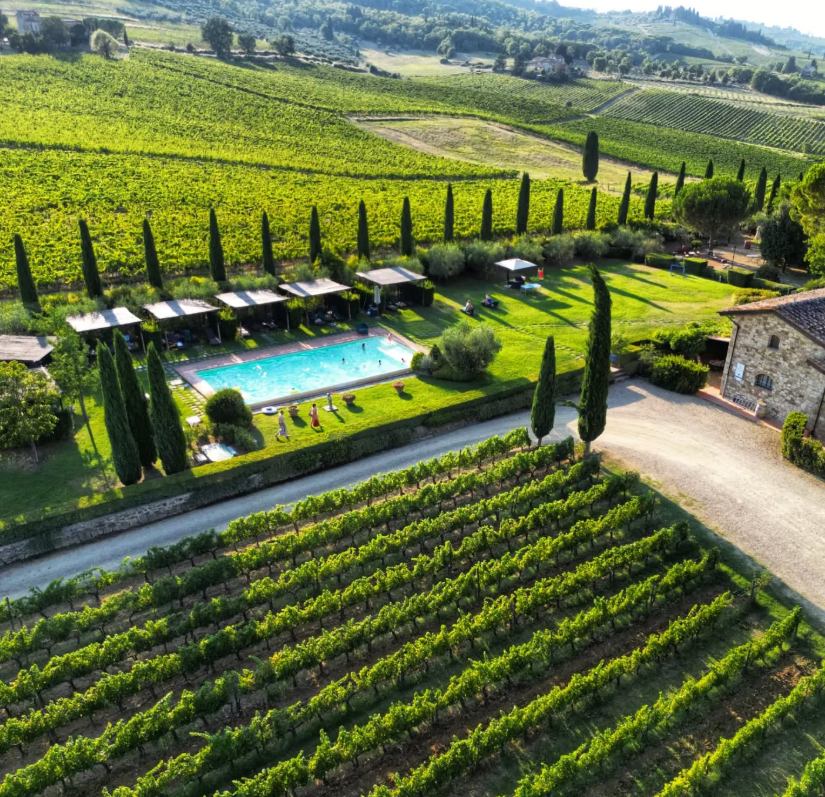 Fattoria Viticcio - Soggiorno & Degustazione Toscana Fattoria Viticcio