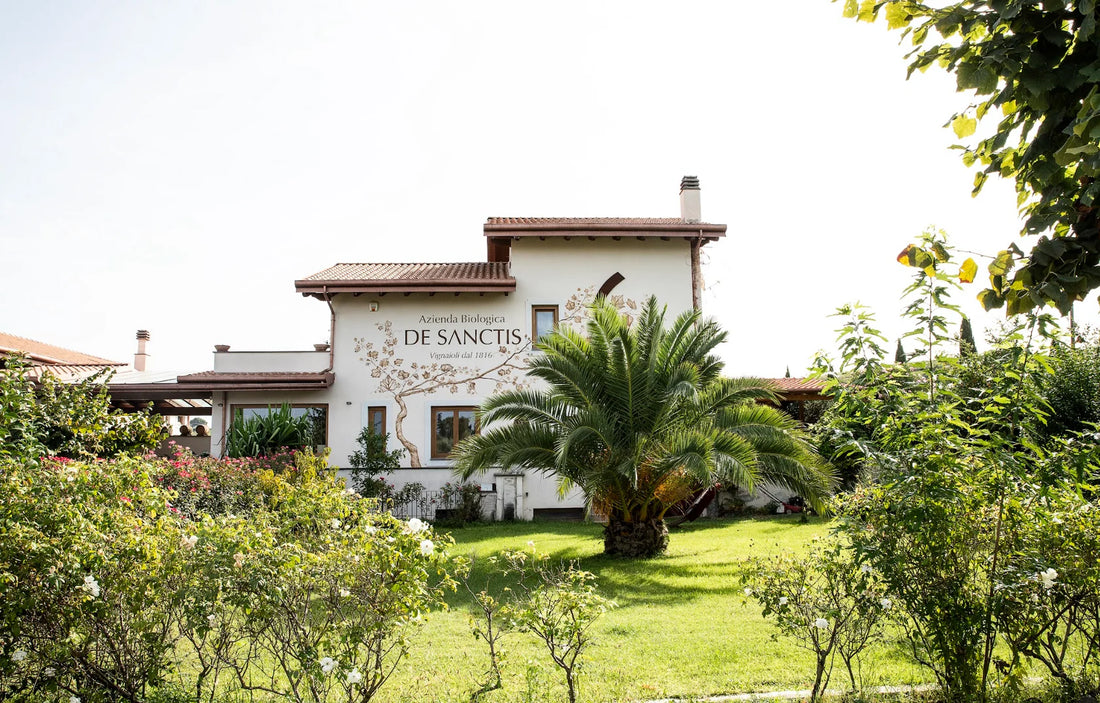 De Sanctis - Vineyard Stay and Tasting for 2