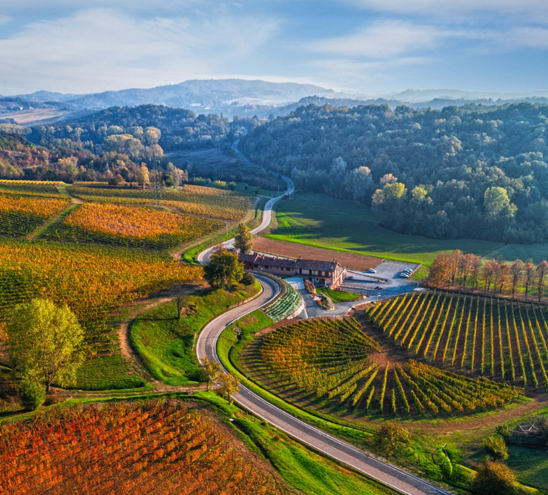 Cascina Binè - Soggiorno & Pranzo in Cantina Piemonte Cascina Binè