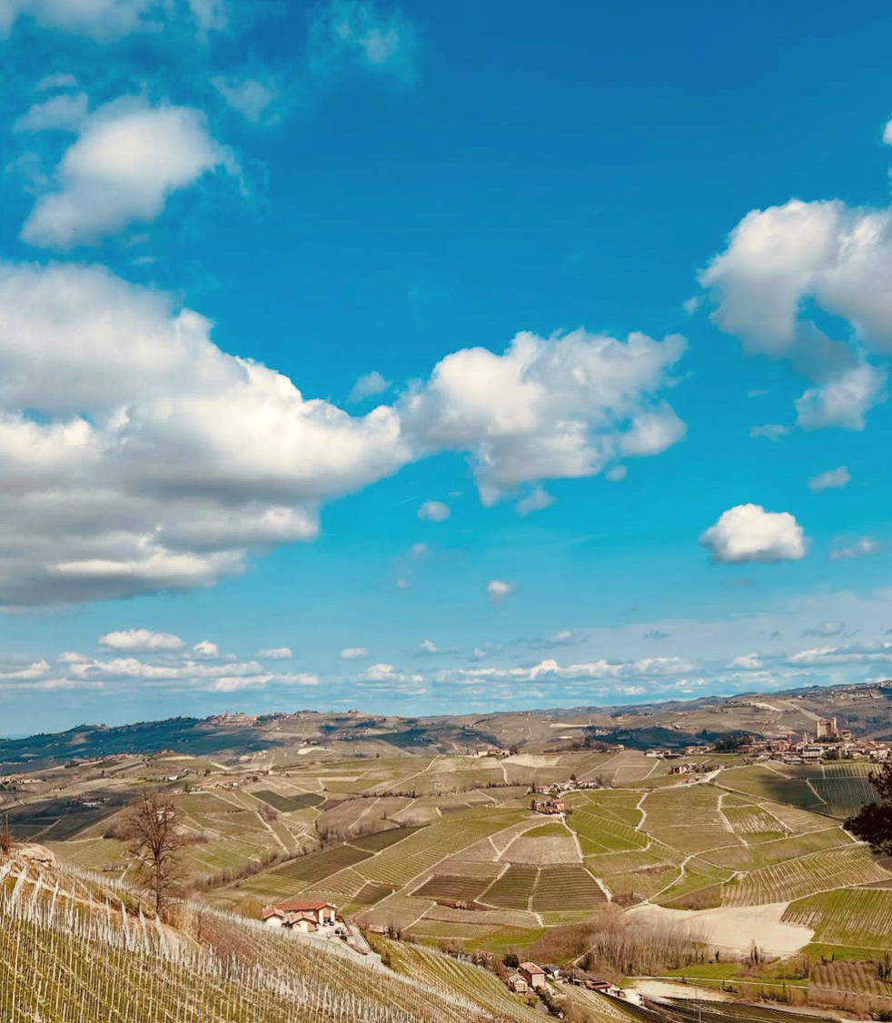 Castello di Perno - Soggiorno & Light Lunch Piemonte Castello di Perno