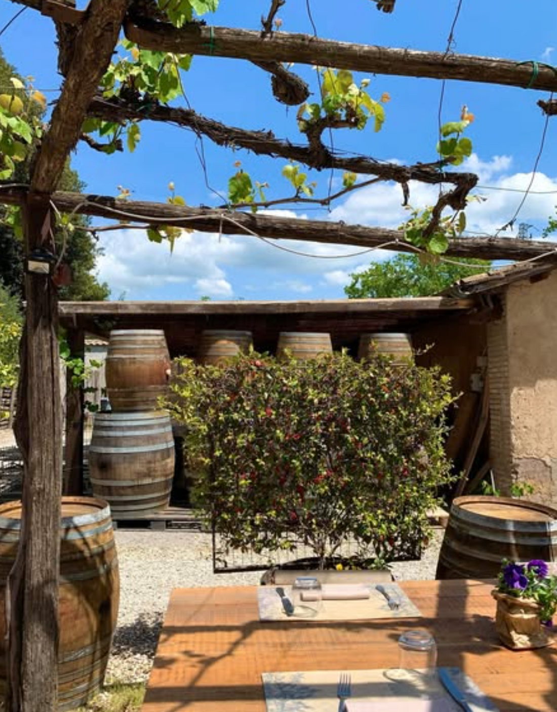 Castello di Torre in Pietra - Degustazione e Tagliere Lazio Castello di Torre in Pietra