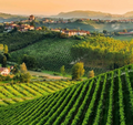 Badia di Morrona - Wine Tour and Tasting