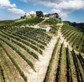 Cascina Pugnane - Barolo Stay & Wine experience