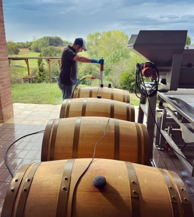 IViti - Pranzo con Degustazione Toscana Iviti