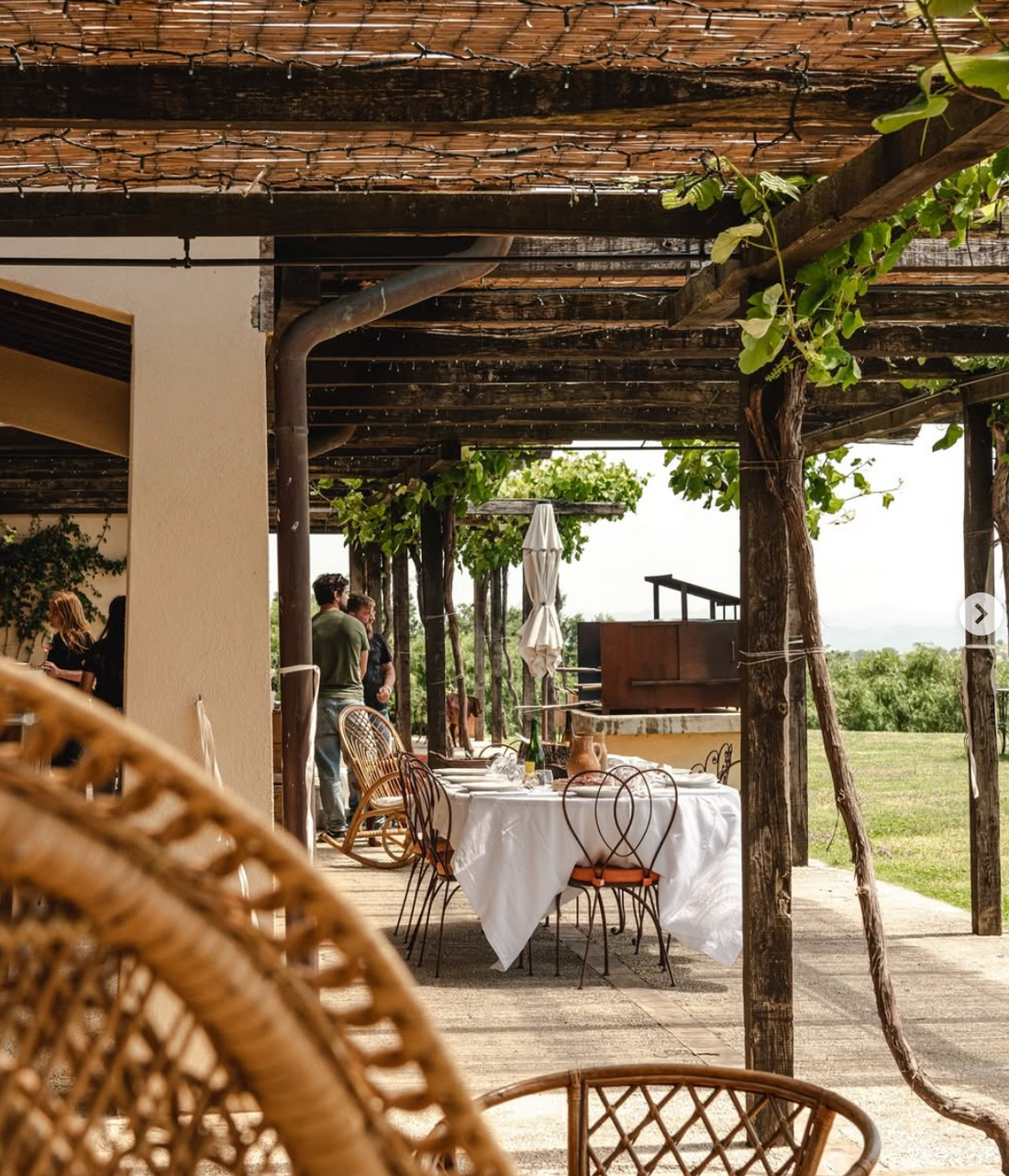 Il Quinto - Quinto Tasting Toscana Il Quinto