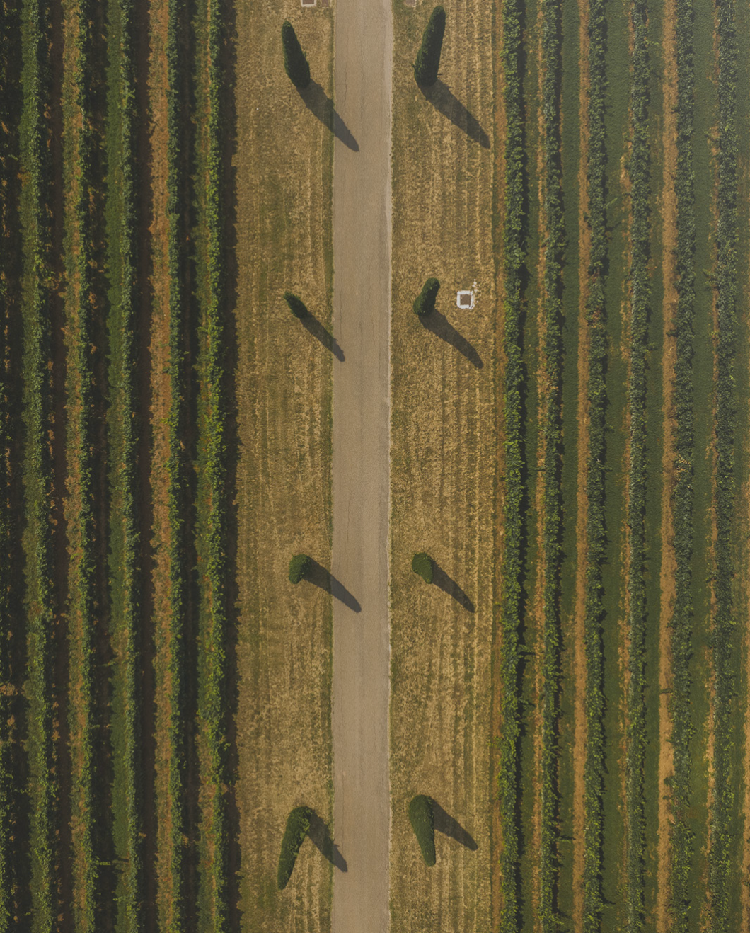 Castello Bonomi - Riserva Lucrezia Lombardia Castello Bonomi