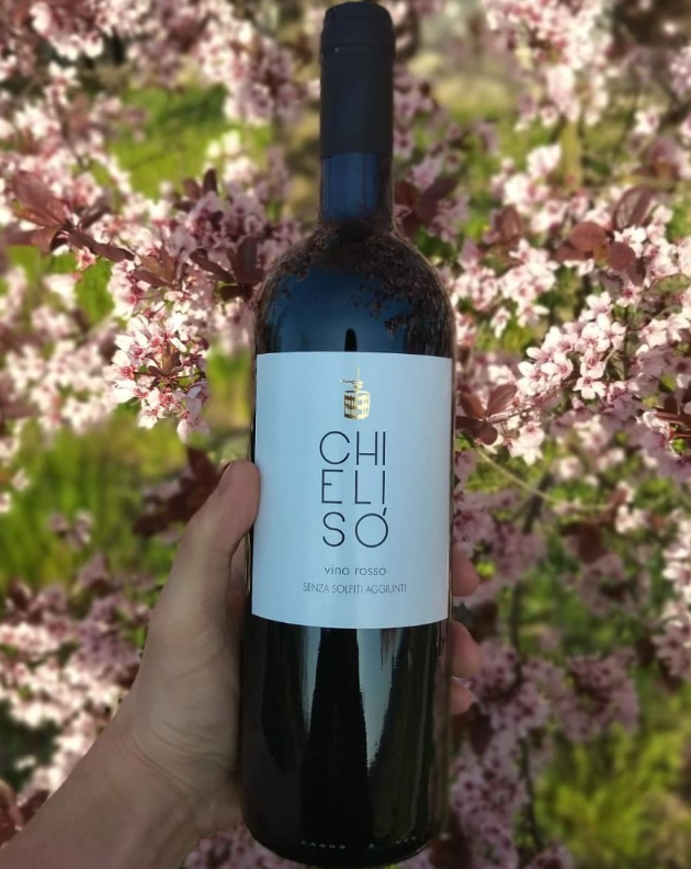 Chielisò di Sofia Ribaldone - Dalla vigna al calice