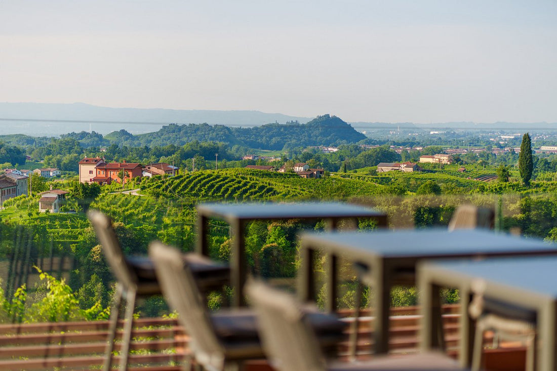 Rebuli - Degustazione e Visita della cantina Veneto Rebulli