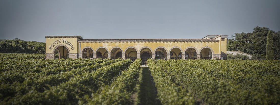 Az.Agr. Montetondo - Soggiorno & Degustazione Veneto Az.Agr. Montetondo