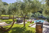 Castellani Michele - Tasting of 4 wines