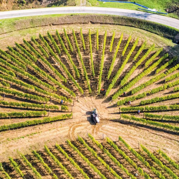 Cascina Binè - Soggiorno & Pranzo in Cantina Piemonte Cascina Binè