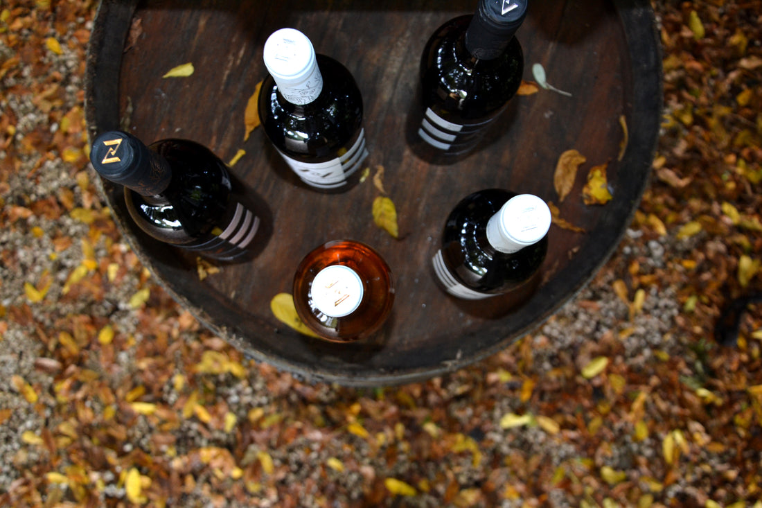 Paolo Bea - Degustazione Umbria Paolo Bea