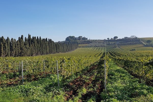 Tenuta di Pietra Porzia - Soggiorno, Degustazione e Massaggio Lazio Tenuta di Pietra Porzia