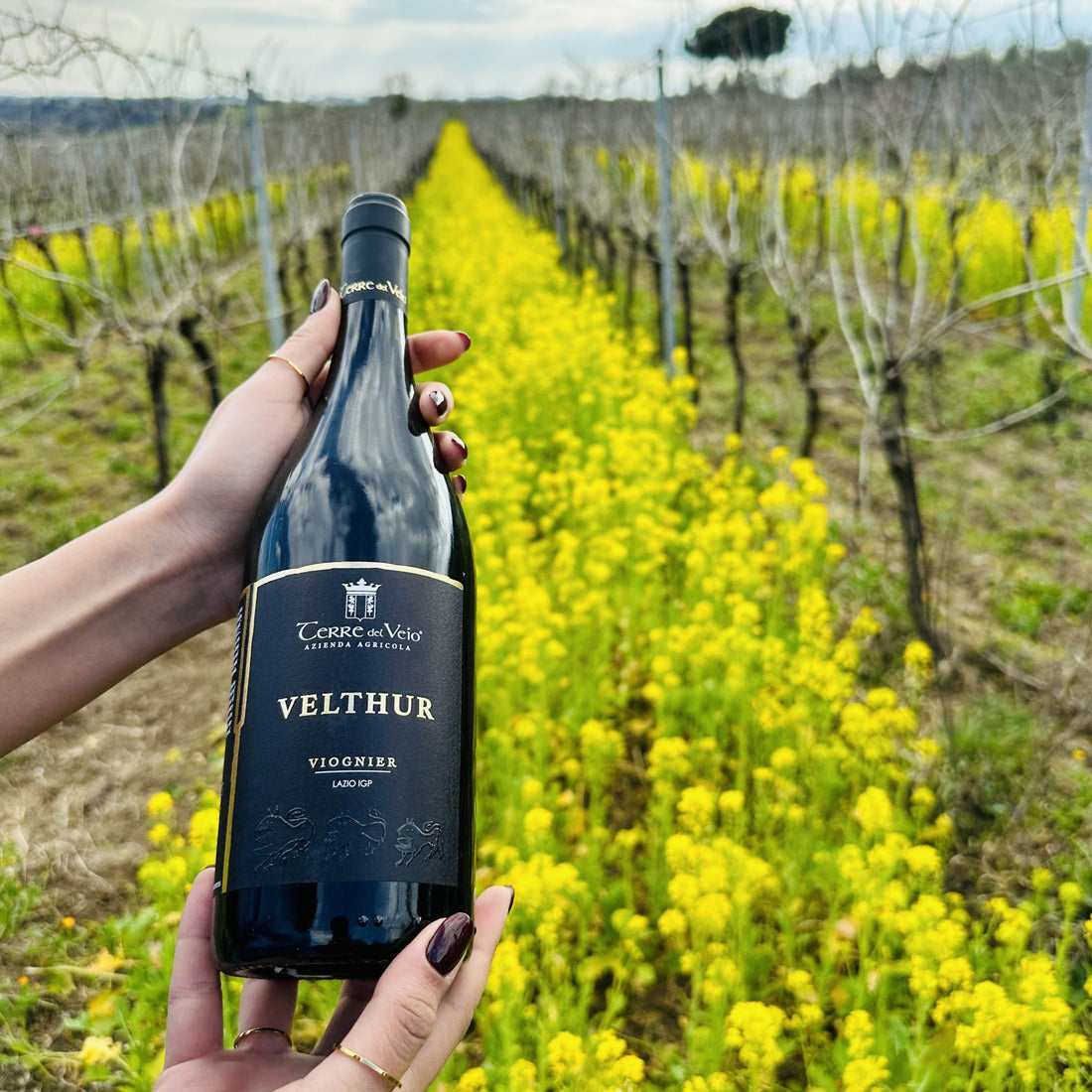 Terre del Veio - Degustazione 3 calici Lazio Terre del Veio