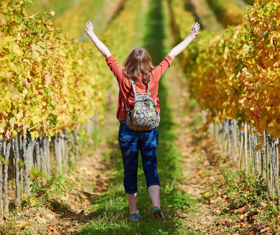 Calatroni wines - Degustazione 4 vini Lombardia Calatroni wines