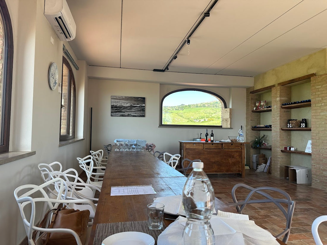 Terre de Pepi - Vini di Volterra: emozioni sensoriali di agricoltura VIVA Toscana Terre de Pepi