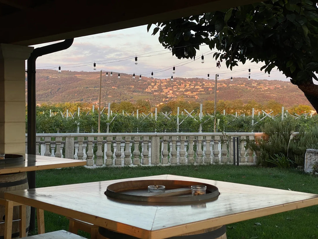 Cantina Mizzon - Tradizione Experience Veneto Az.Agr.Mizzon