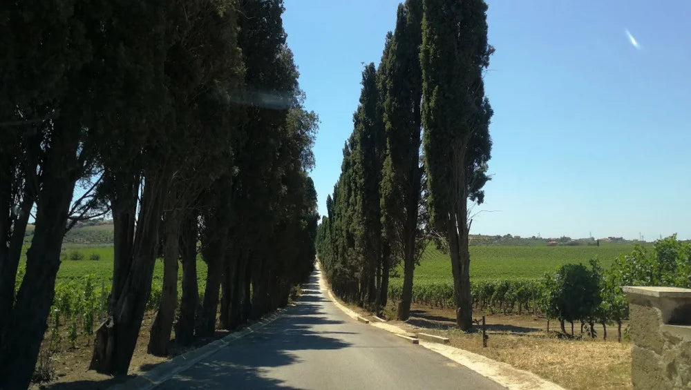 Tenuta di Pietra Porzia - Soggiorno, Degustazione e Massaggio Lazio Tenuta di Pietra Porzia