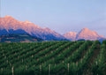 Barone di ValForte - DOC tasting