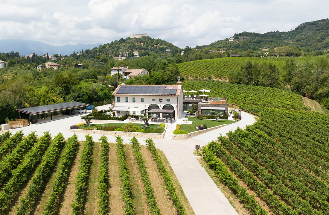 Progress Country & Wine House - Soggiorno & Degustazione Veneto Progress Country & Wine House