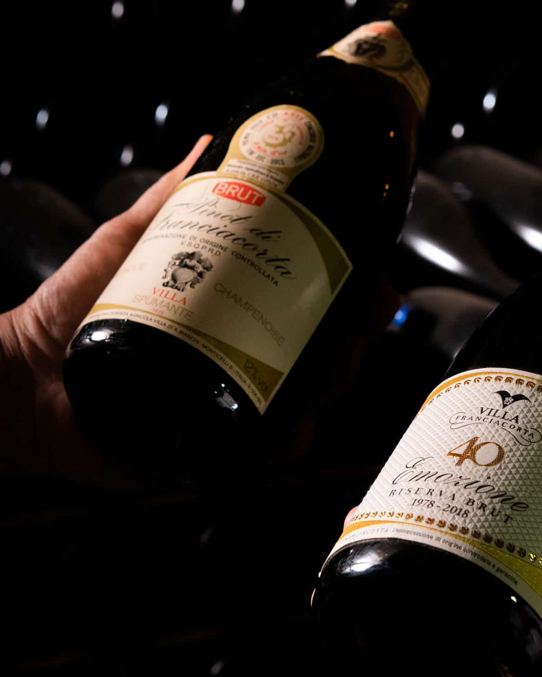 Villa Franciacorta - Pranzo in Villa Lombardia Villa Franciacorta