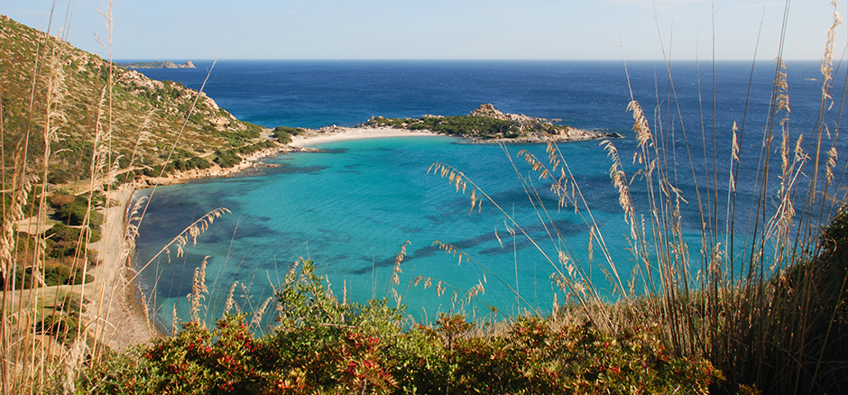 Colline del vento - Passeggiata tra i filari con aperitivo Sardegna Colline del vento