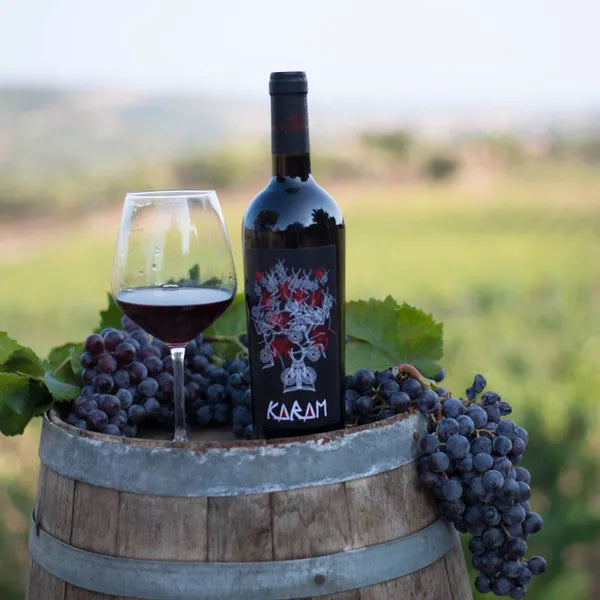 Tenute Gebelias - Degustazione e Visita Sardegna Tenute Gebelias