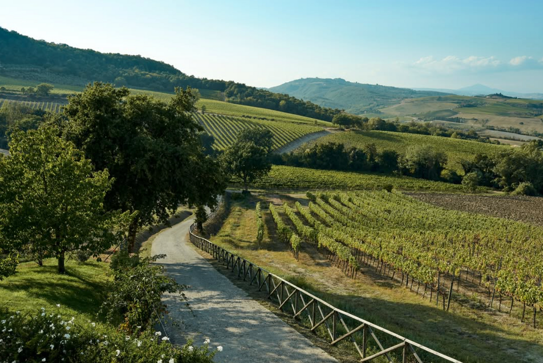 Altarocca Wine Resort - PicNic Umbria Altarocca