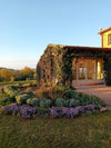 Malauva - Visit and Tasting 4 Wines Complete