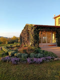 Malauva - Visit and Tasting 4 Wines Complete