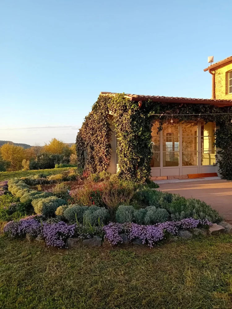 Malauva - Visita e Degustazione 4 Vini Completa Lazio Malauva