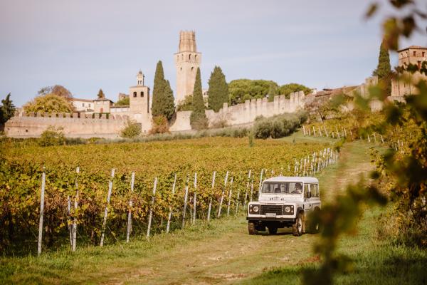 Oddone Prati - Tour dei vigneti in Jeep Piemonte Oddone Prati